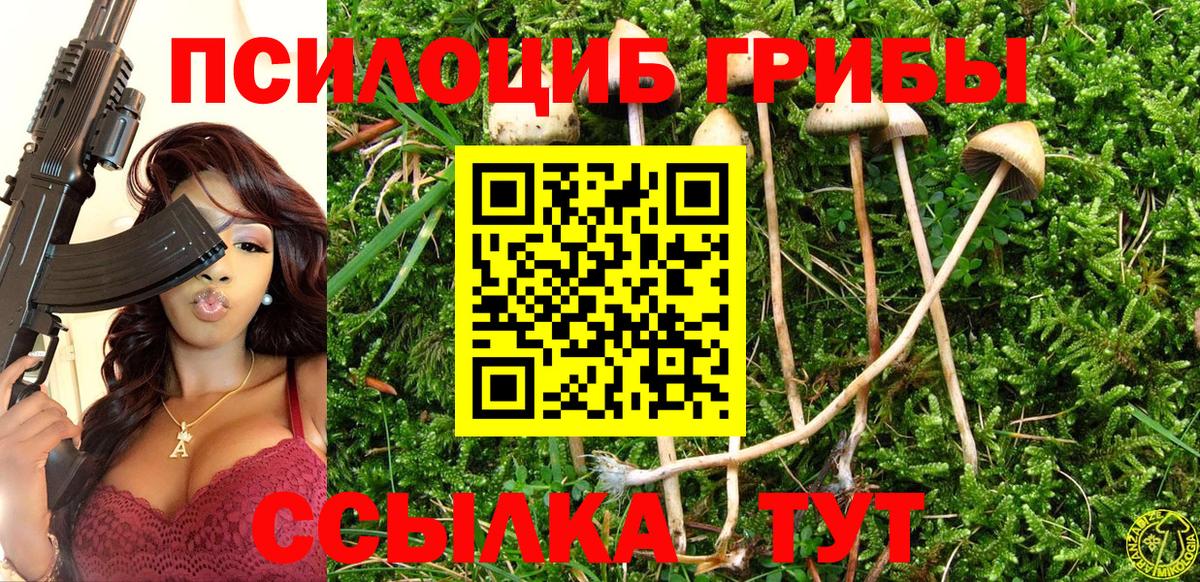 Сухой Лог  Галлюциногенные грибы Magic Shrooms  как найти наркотики  Вход с VPN 