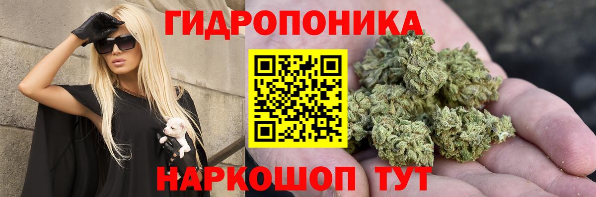 Каннабис планчик Сухой Лог